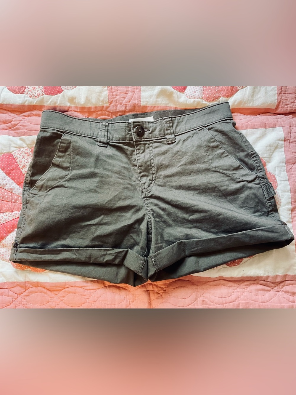 Boston Traders chocolate brown Roll-Cuff Cotton Shorts